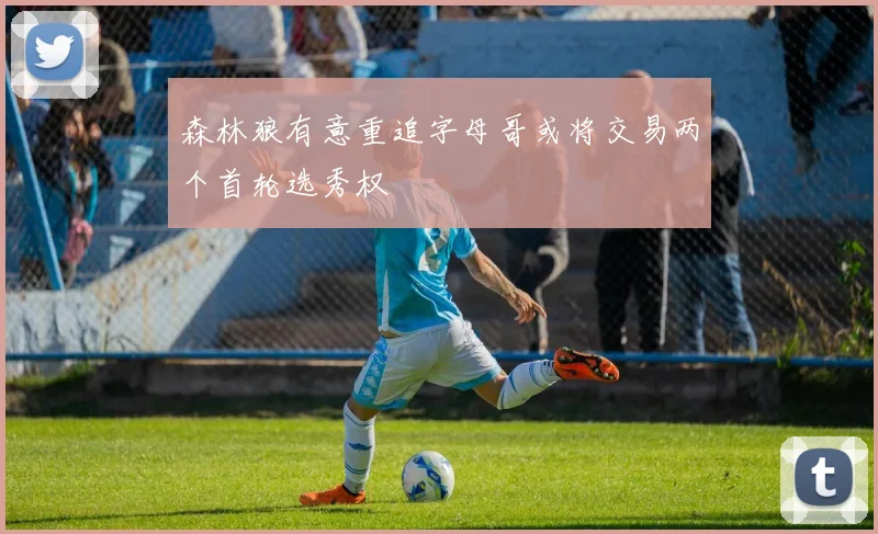 森林狼有意重追字母哥或将交易两个首轮选秀权
