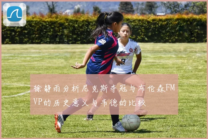 徐静雨分析尼克斯夺冠与布伦森FMVP的历史意义与韦德的比较