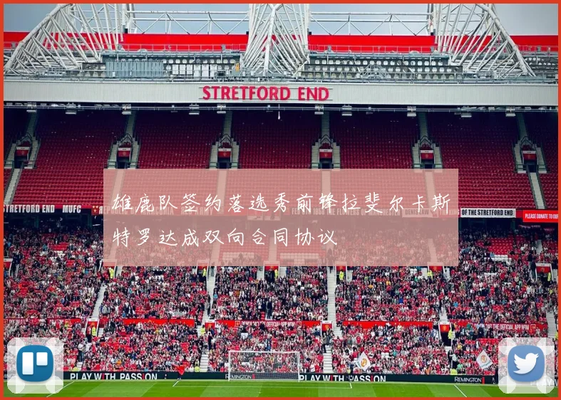 雄鹿队签约落选秀前锋拉斐尔卡斯特罗达成双向合同协议