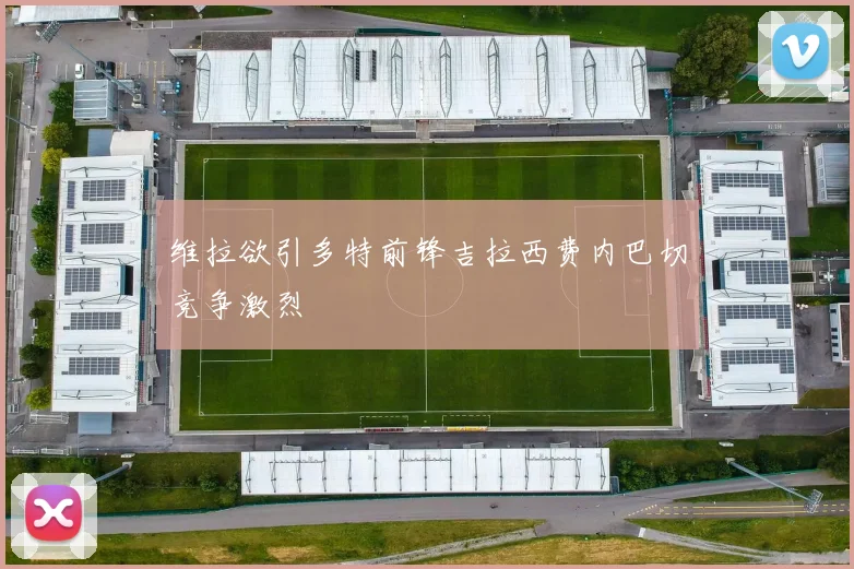 维拉欲引多特前锋吉拉西费内巴切竞争激烈